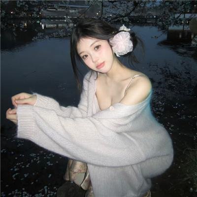 从前有个傻子特工